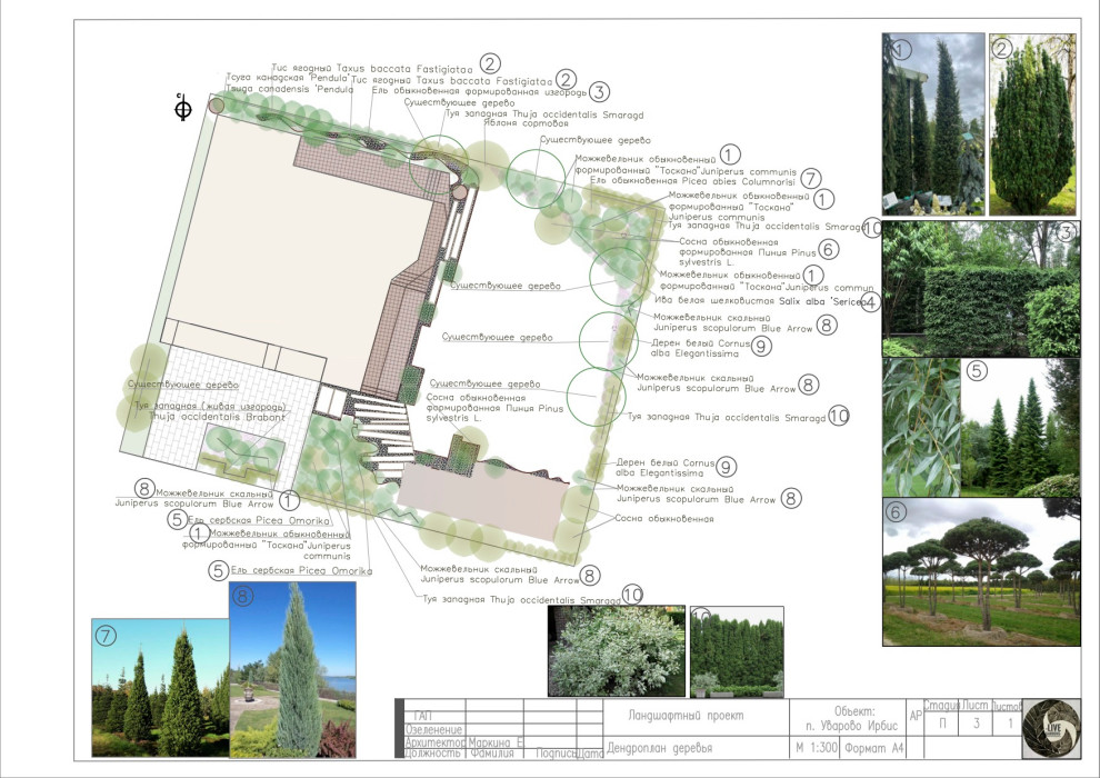 Средиземноморье Уварово