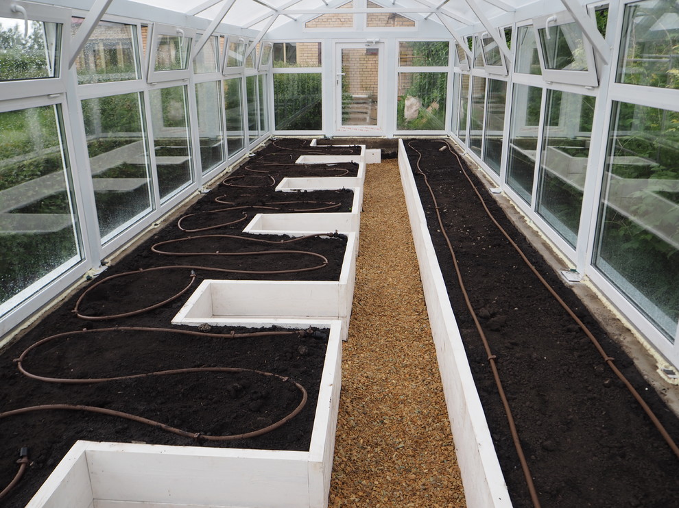 Натуральное дерево в саду