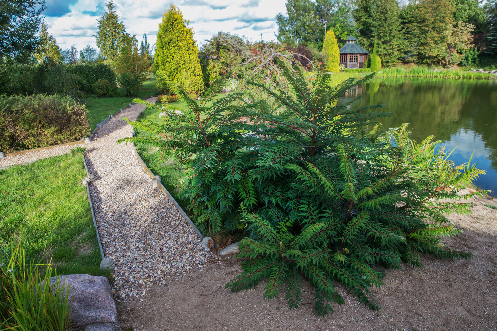 Парк в  Шаховском районе