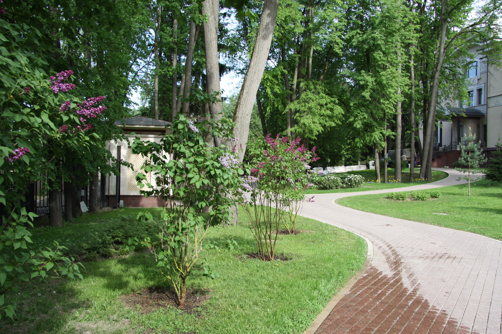 Обложка проекта: Сколково