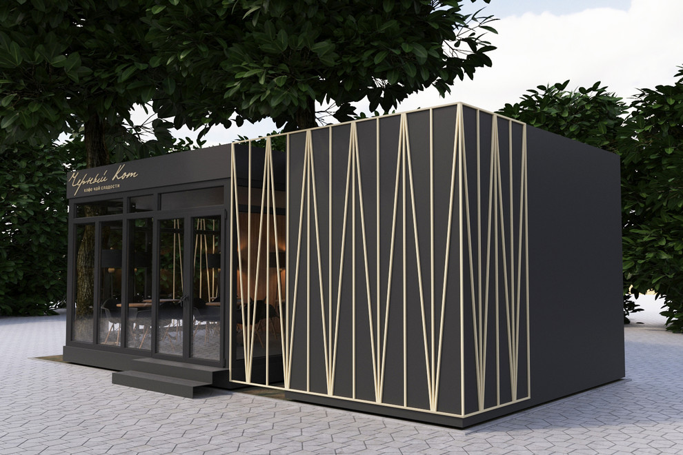 Обложка проекта: Чёрный кот