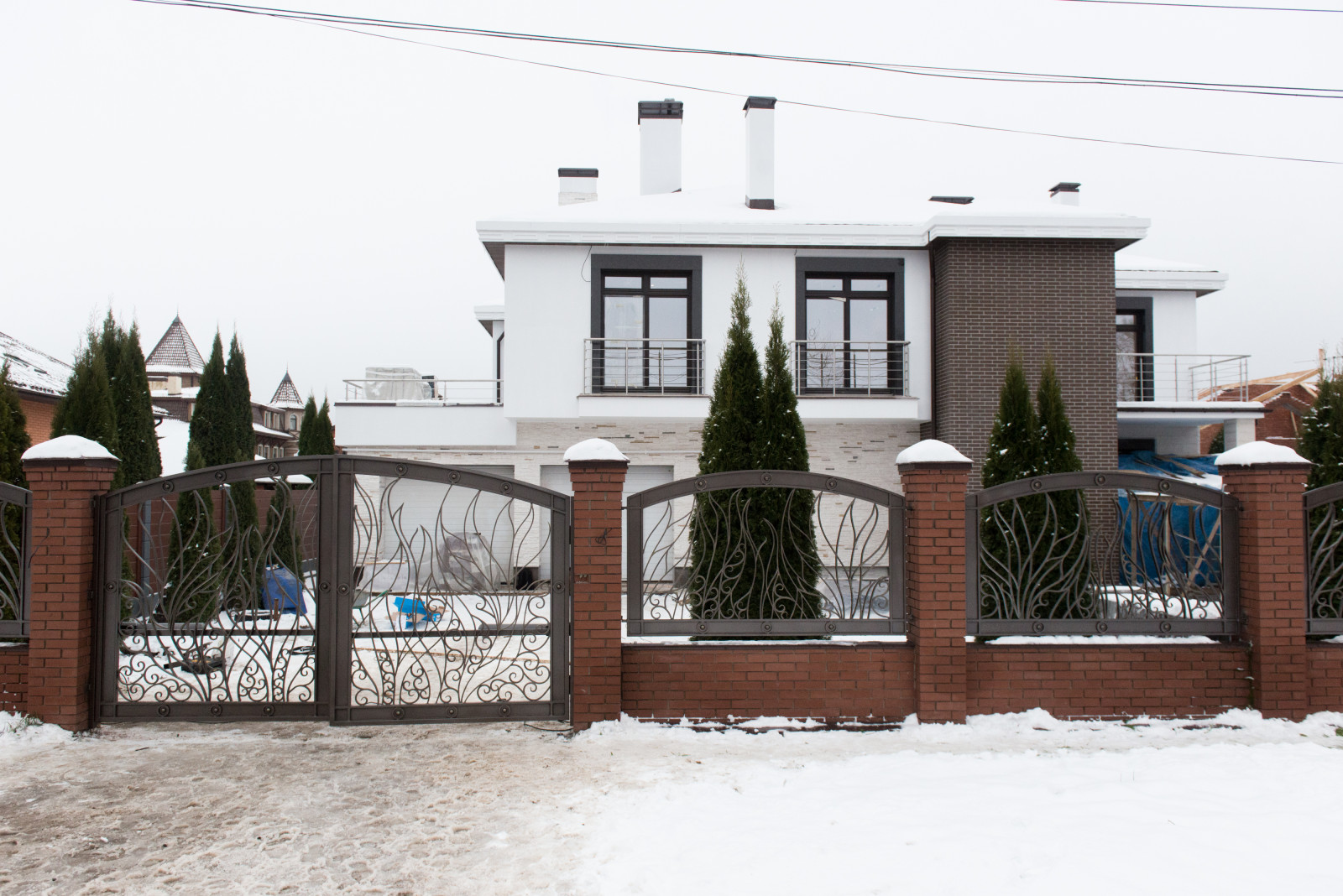 Обложка проекта: Декоративные ворота и ограждения по эскизу заказчика