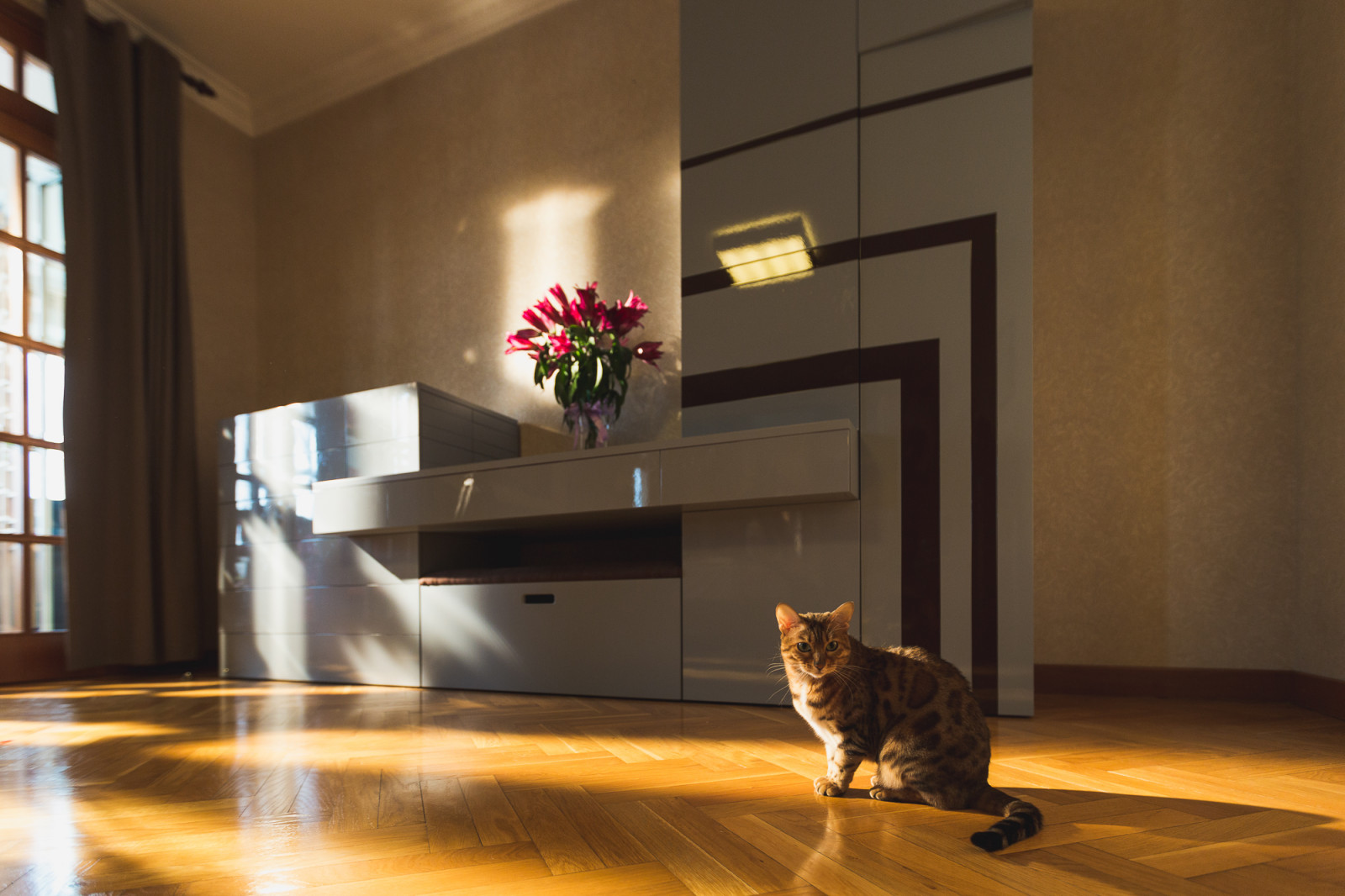 Шкаф Комплимент