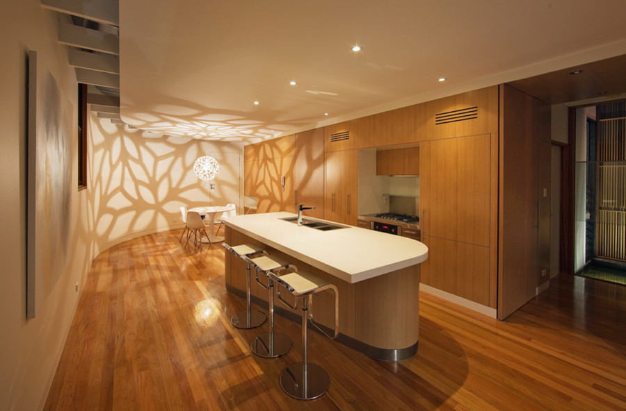 Домашний «театр теней»: Учимся работать с декоративным светом