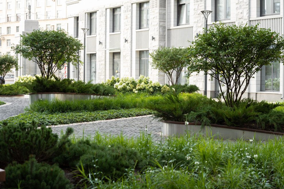 Северная корона