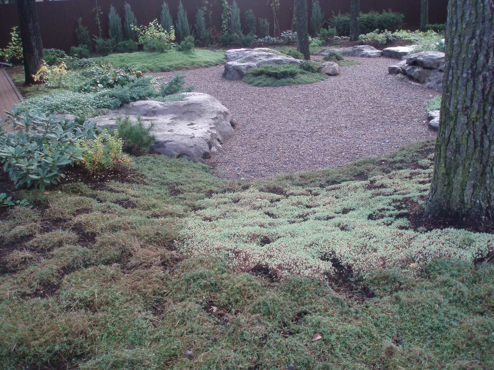 реставрация сада