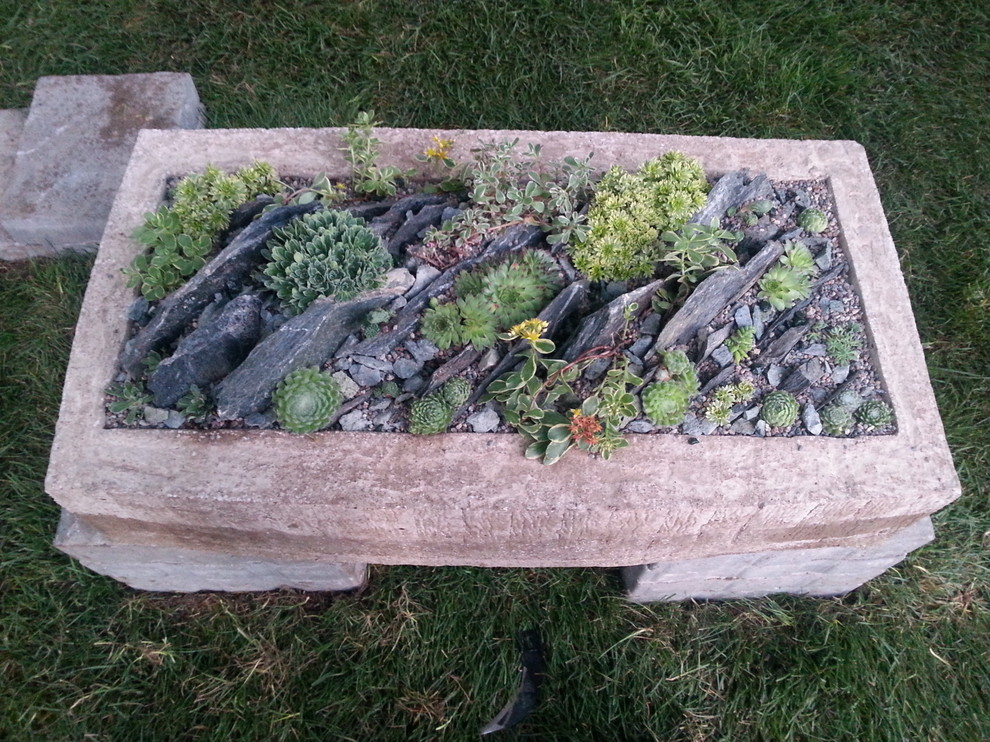 Альпинарии