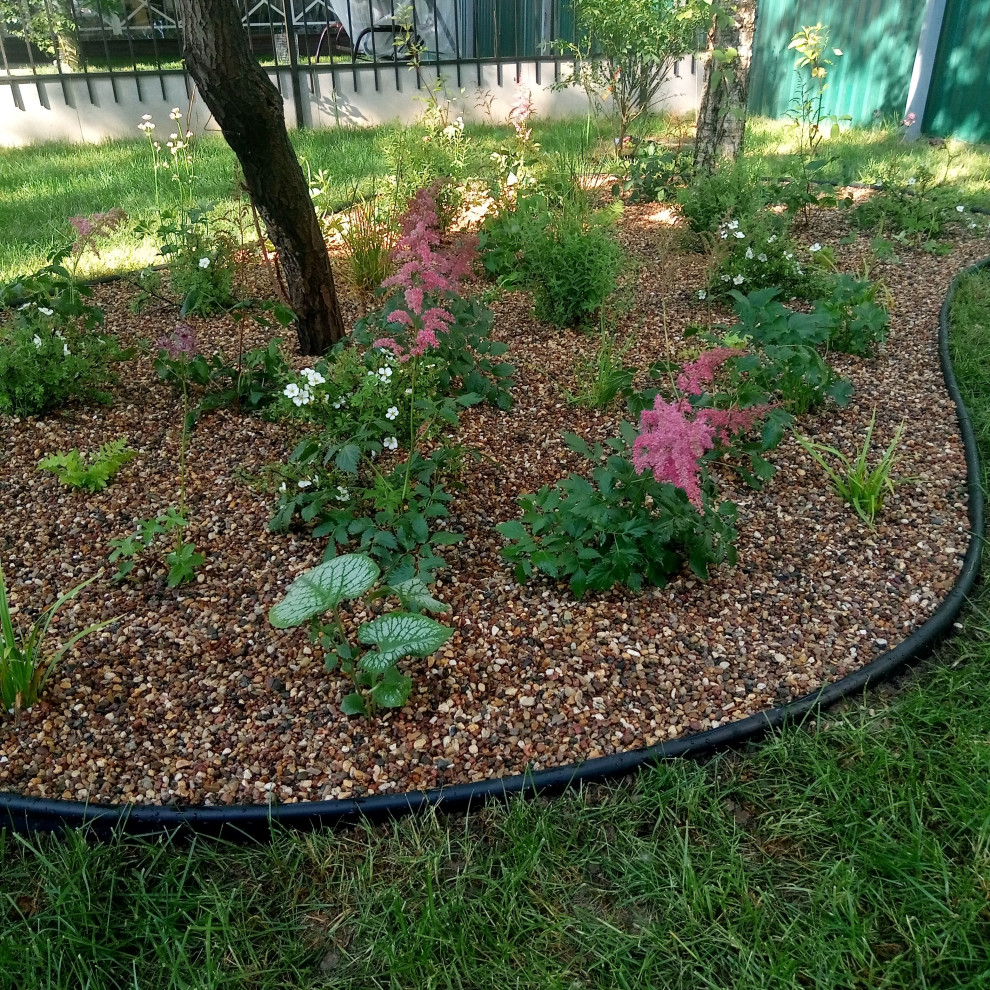 Берёзки и камни