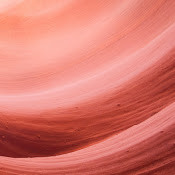 Лариса Нигай