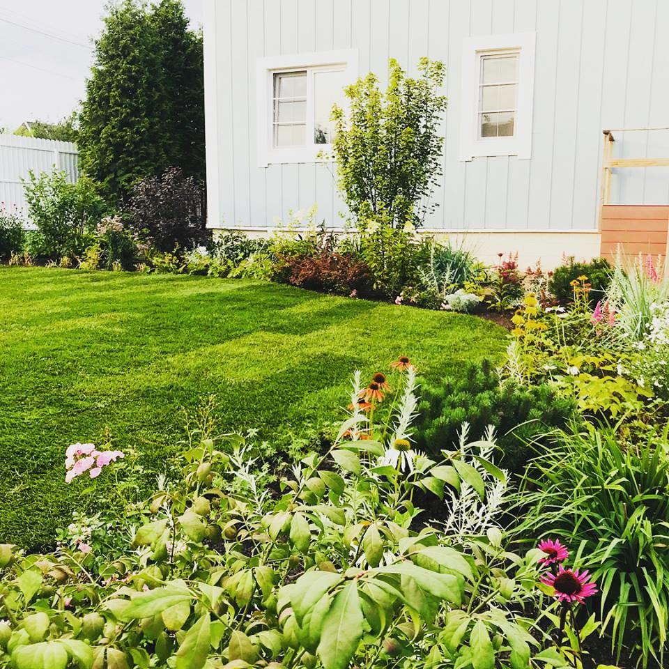 современная классика