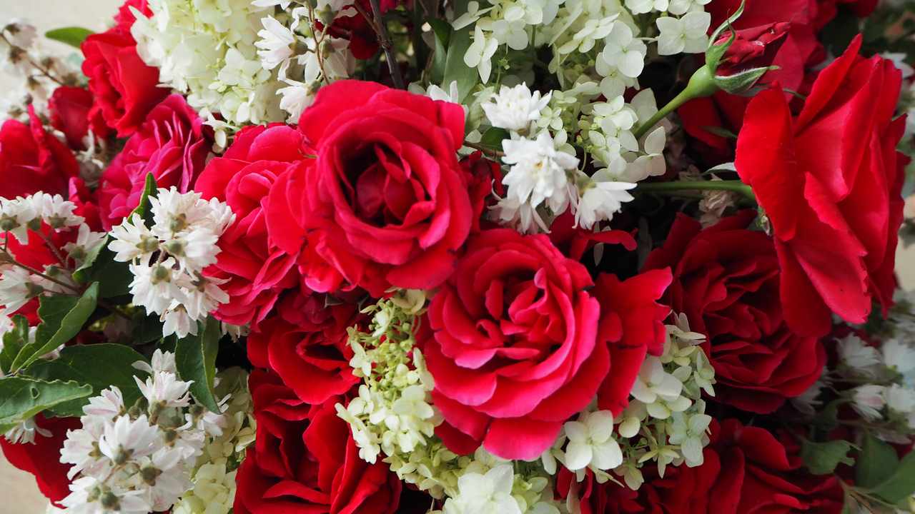 День рождения