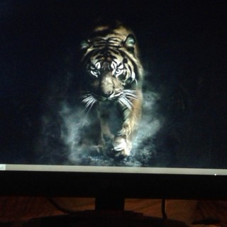 Вадим Шатун