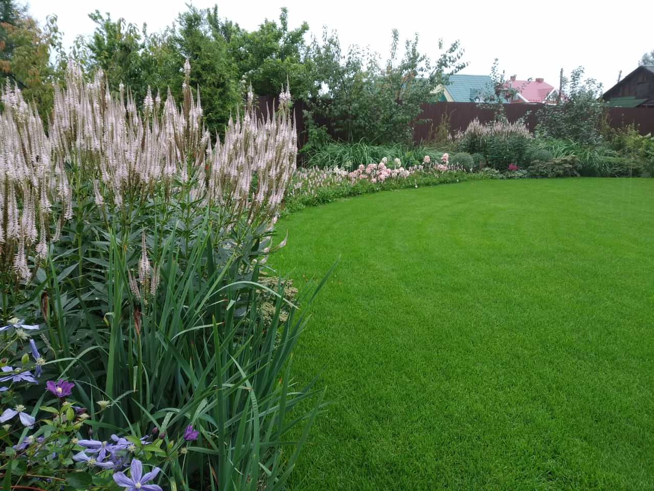 Сад в розовой дымке