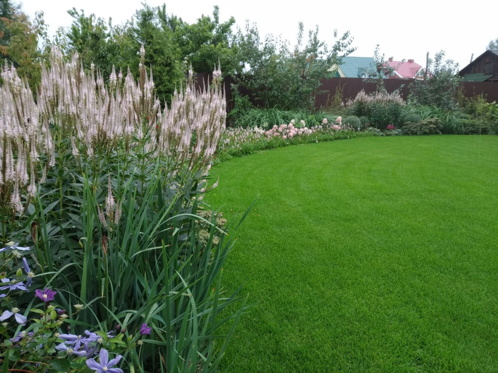 Сад в розовой дымке