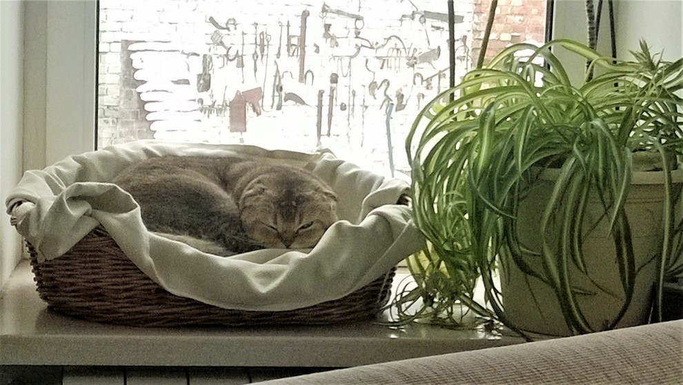 Русское Ретро