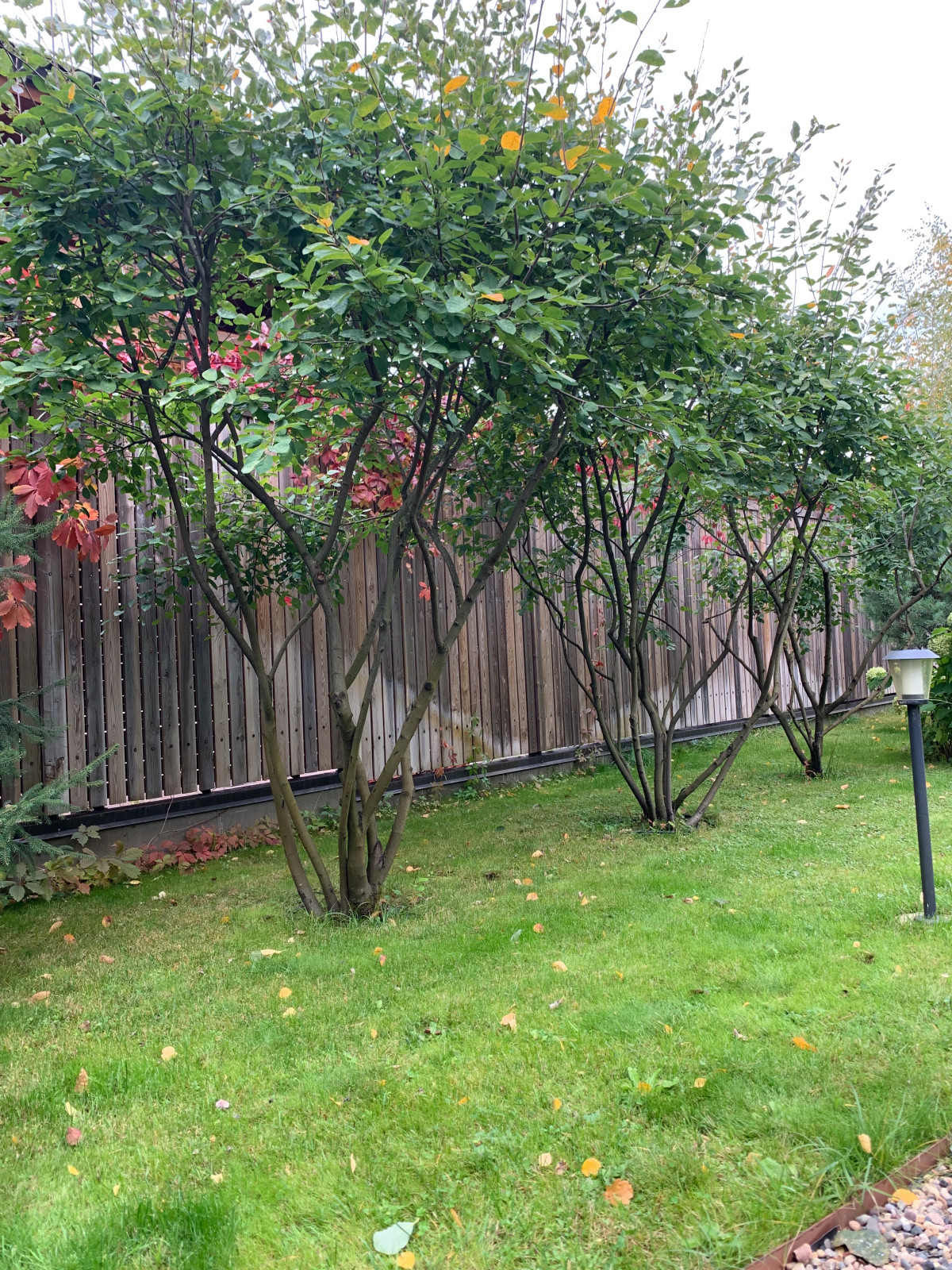 Обложка проекта: Новогорск