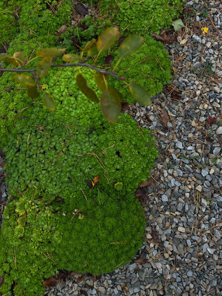 Сад у Озернинского водохранилища 12 сот.