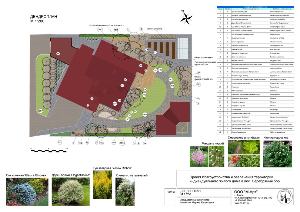 Серебряный бор