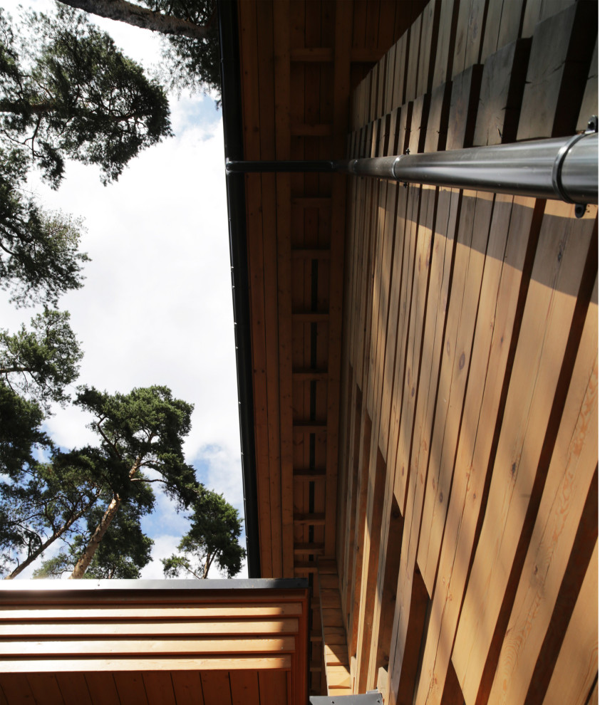 Дом в сосновом лесу