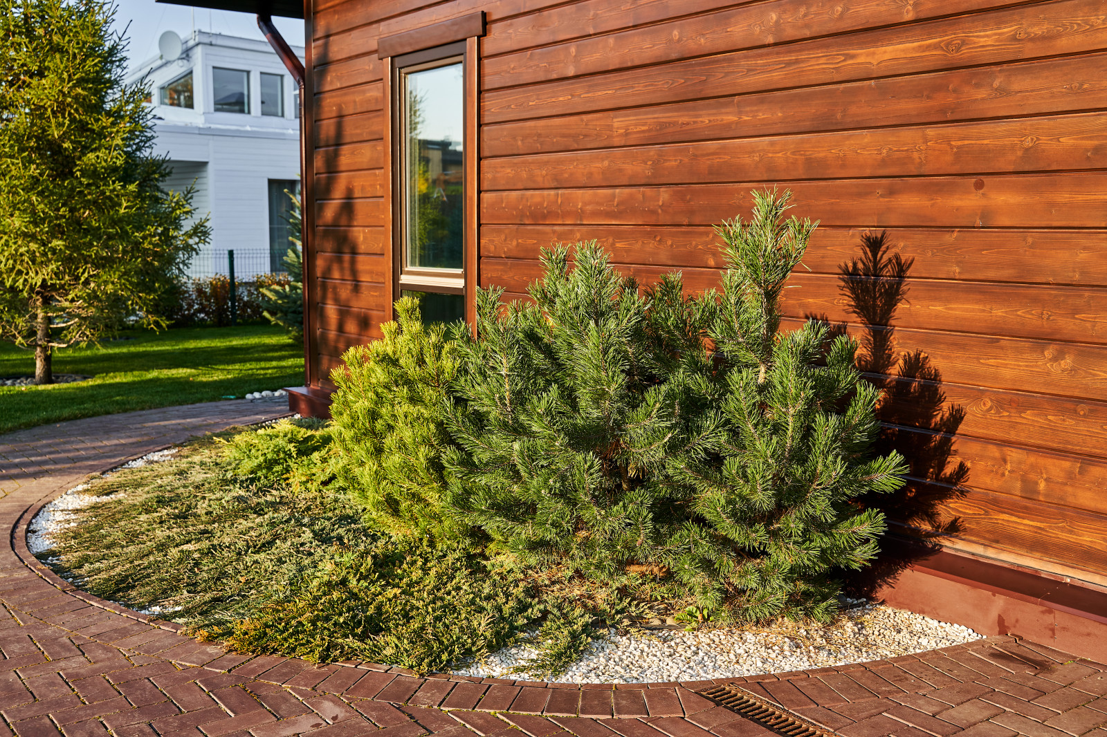 Участок с мужским характером