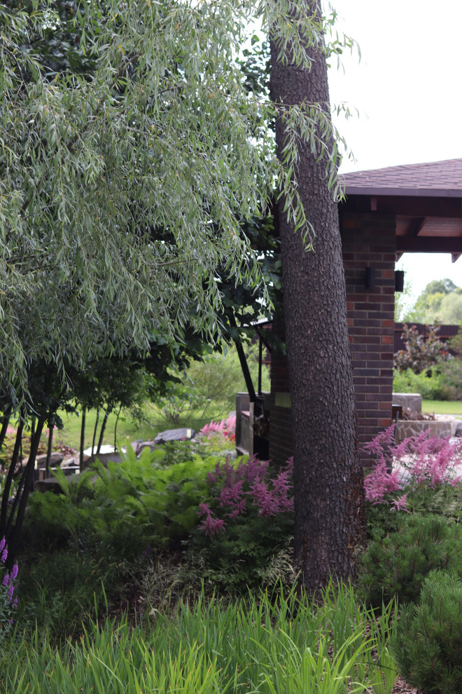 WB Берег пруда (май,июнь)