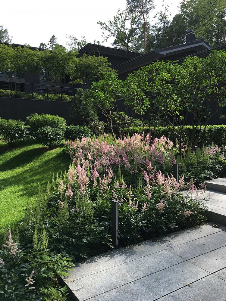 Сад пять уровней комфорта