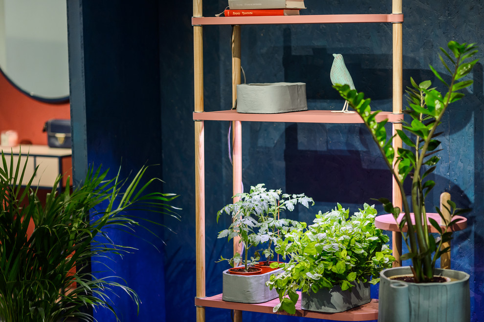 Anastasia Ekimenkova