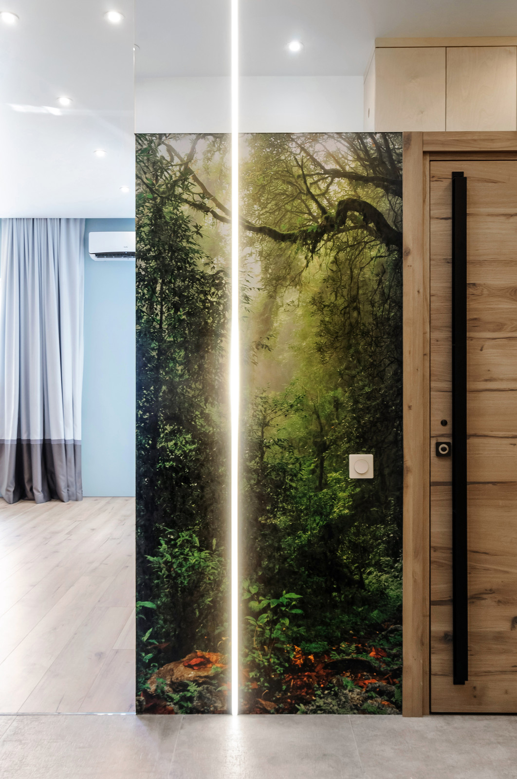 Городские джунгли. Студия 45 2, прихожая