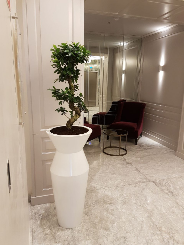 Озеленение офиса