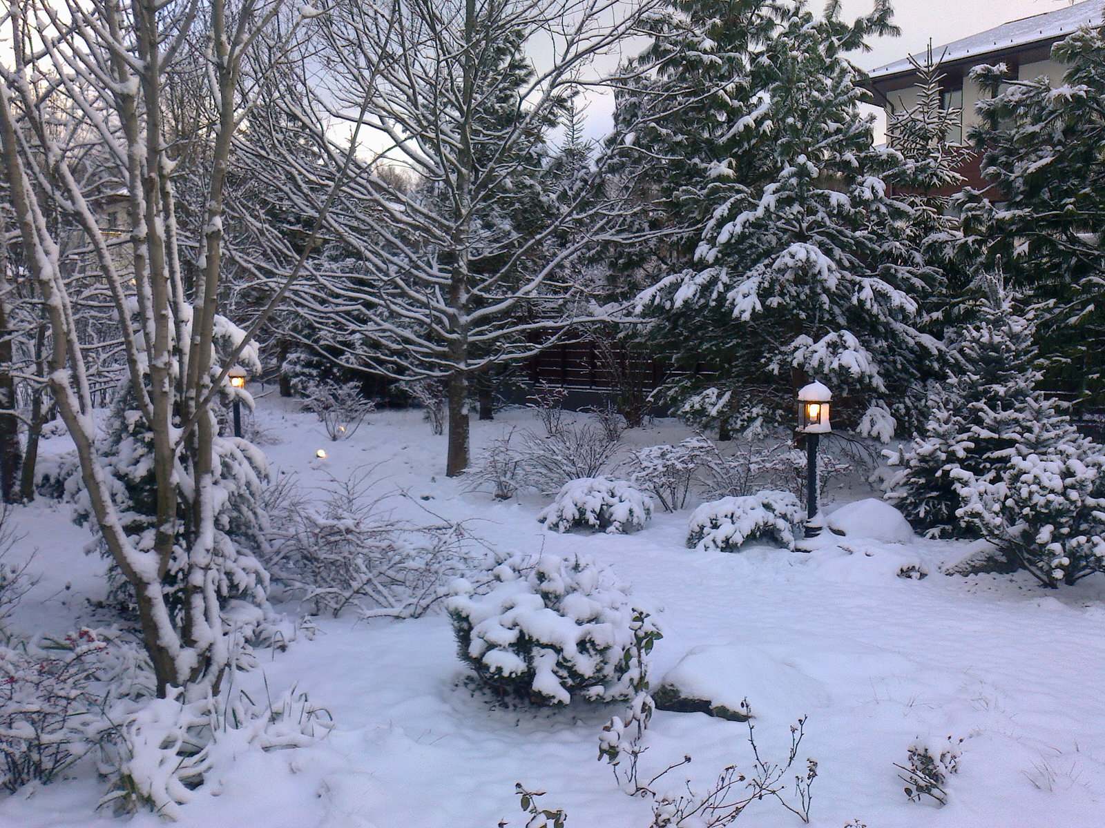 Современный сад в КП "Променад"