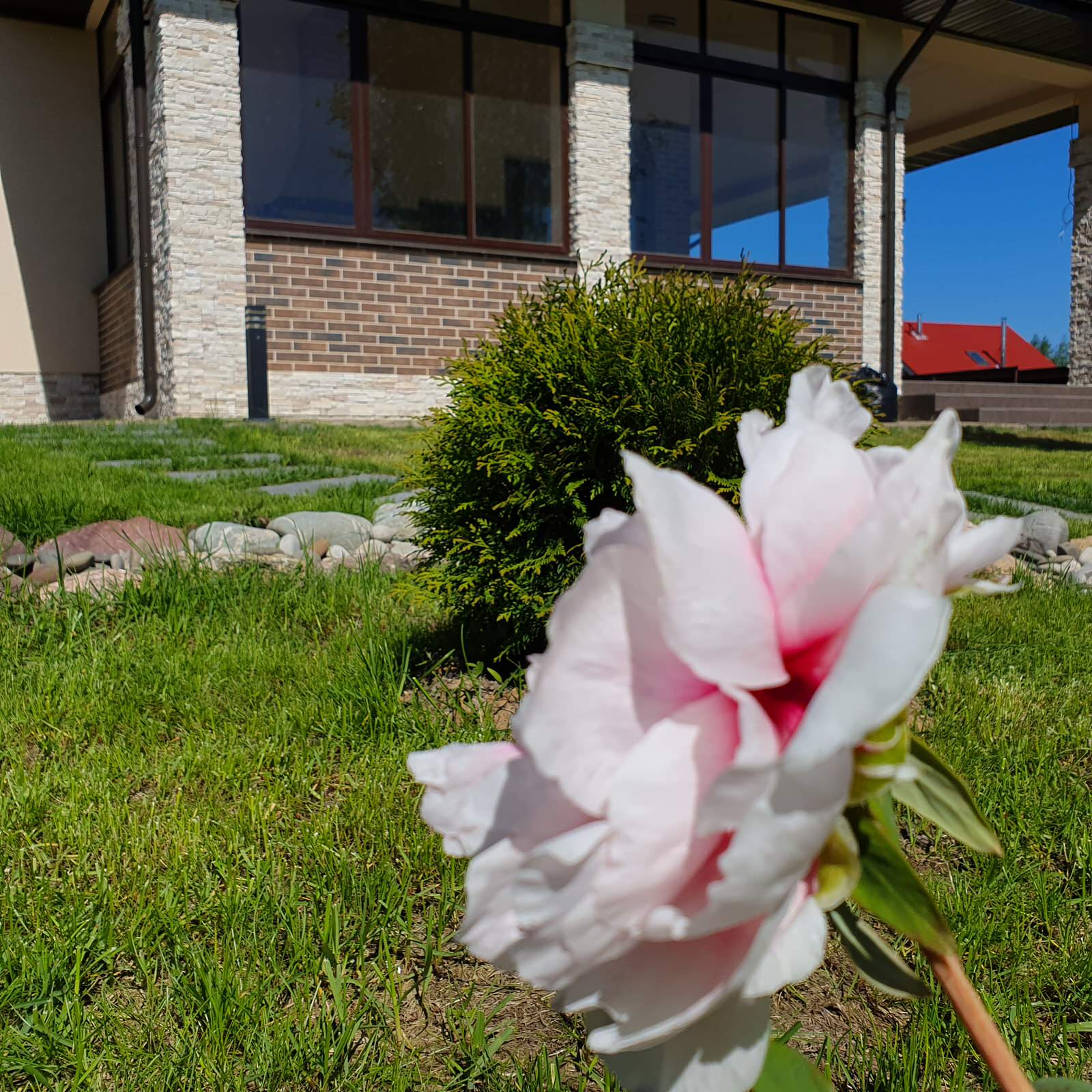 Озеленение под ключ объекта Заказчика