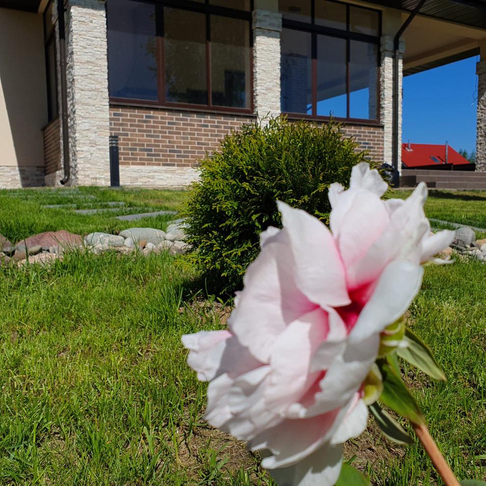 Озеленение под ключ объекта Заказчика