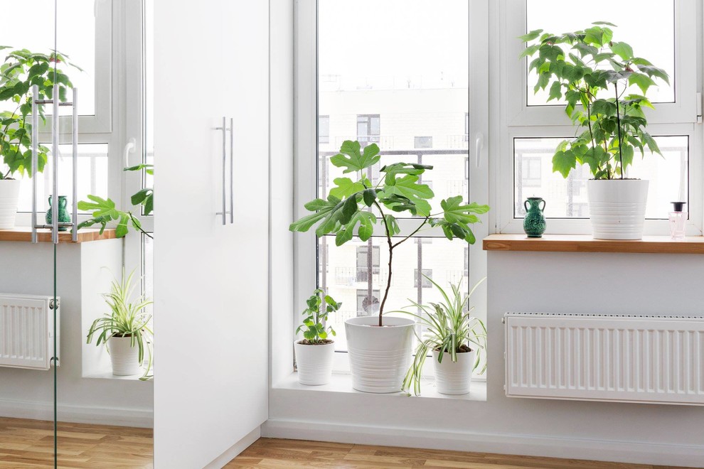 Жизнь в «Сделано» — двухкомнатная квартира в Лобне