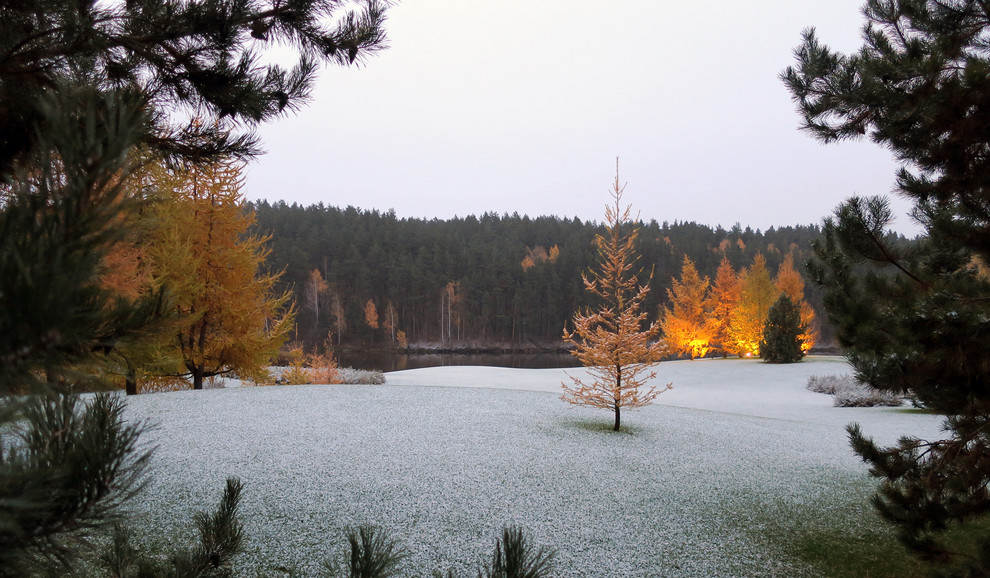 Новый пейзаж