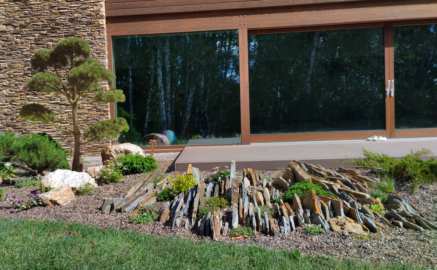 Проект лесного участка "Скалки"