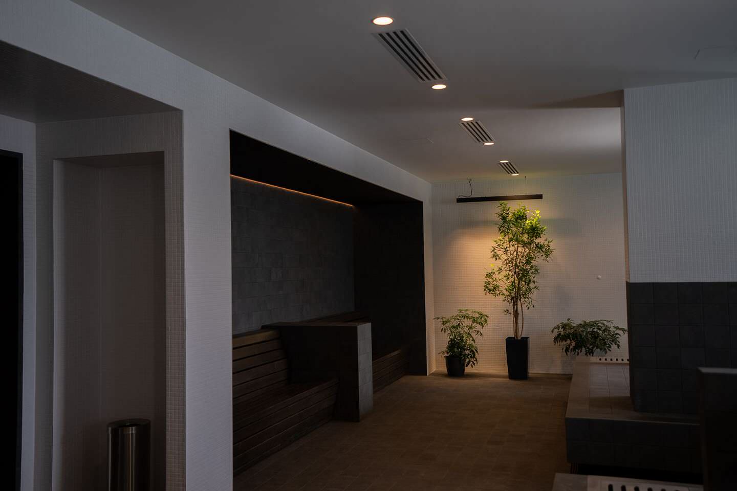 Обложка проекта: Дегтярные бани