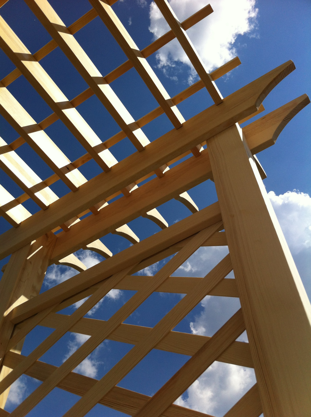 Обложка проекта: Сад на склоне. Реализация 2016 год