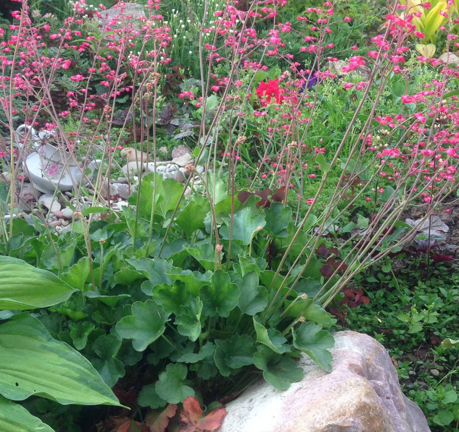 Весёлая деревня