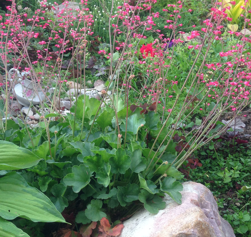 Весёлая деревня