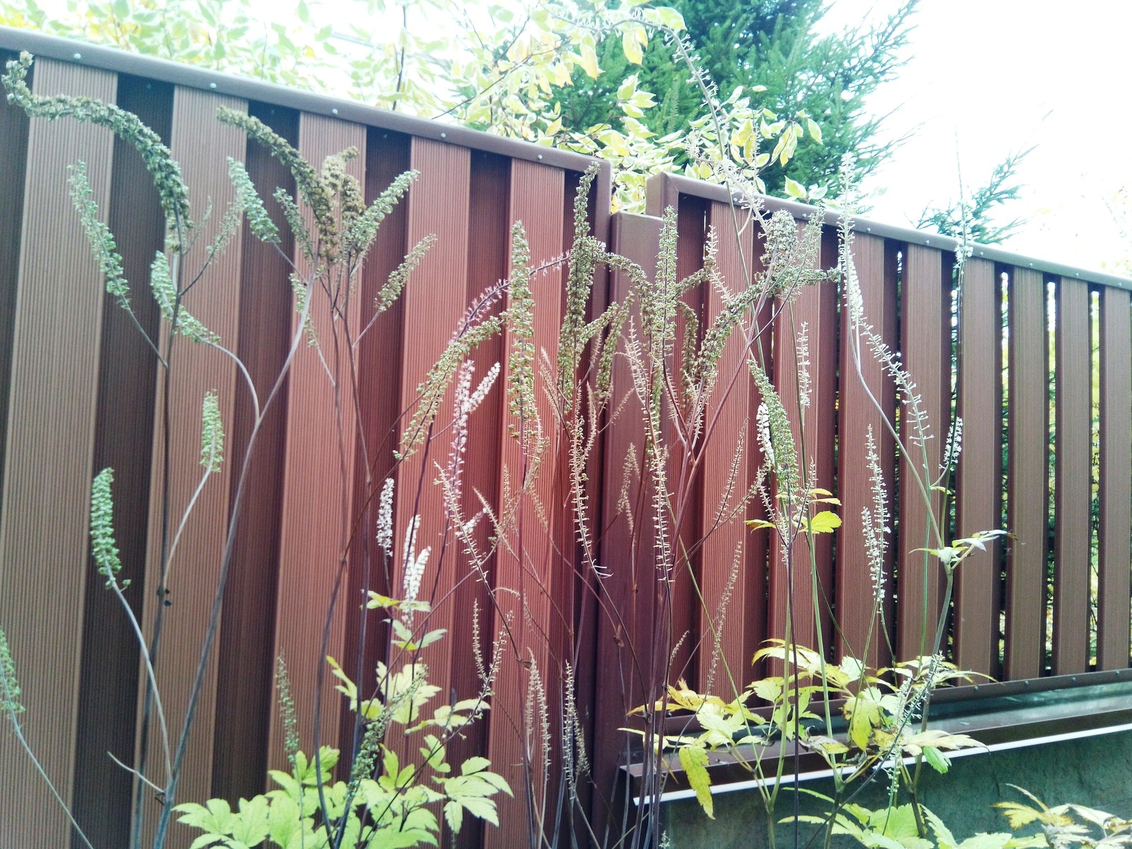 кп "Мартемьяново" - Профессиональный уход за садом - 100% качество!