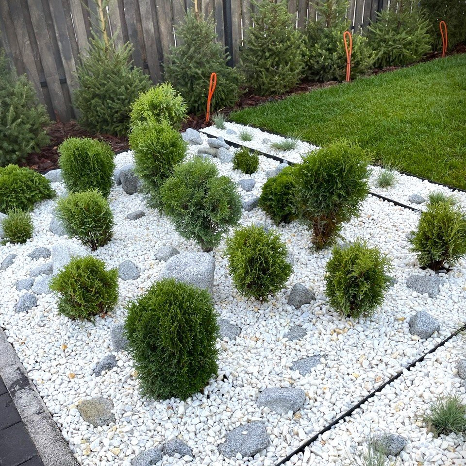 Обложка проекта: Сад из туи в стиле модерн