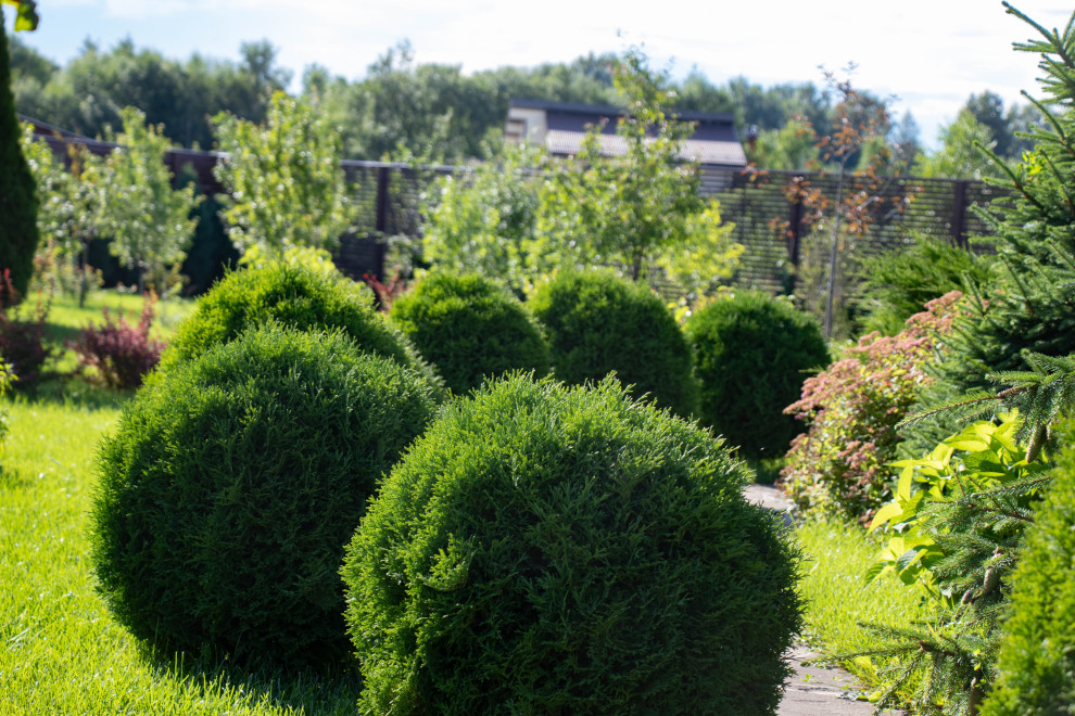 Сосновые берега