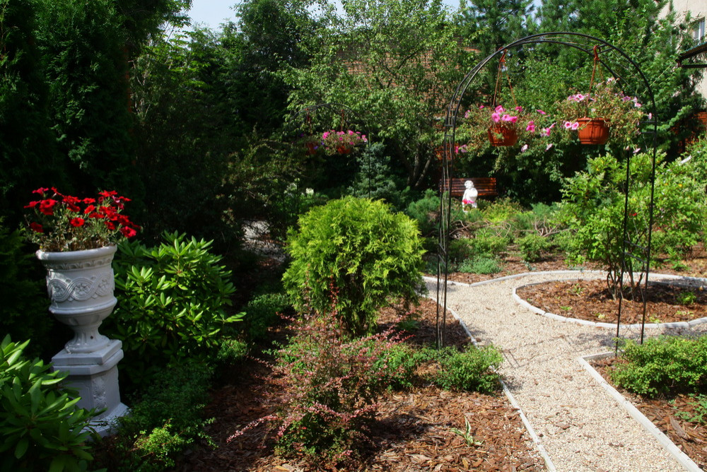 Ильинка. Реконструкция сада