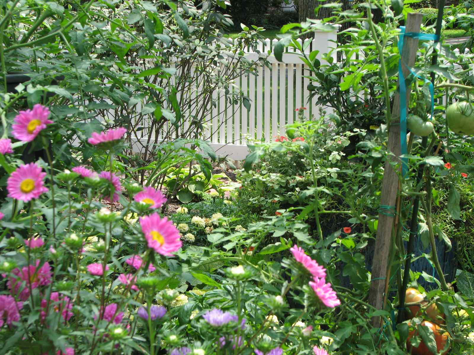 Пермакультура: Как использовать ее принципы на ваших 6 сотках