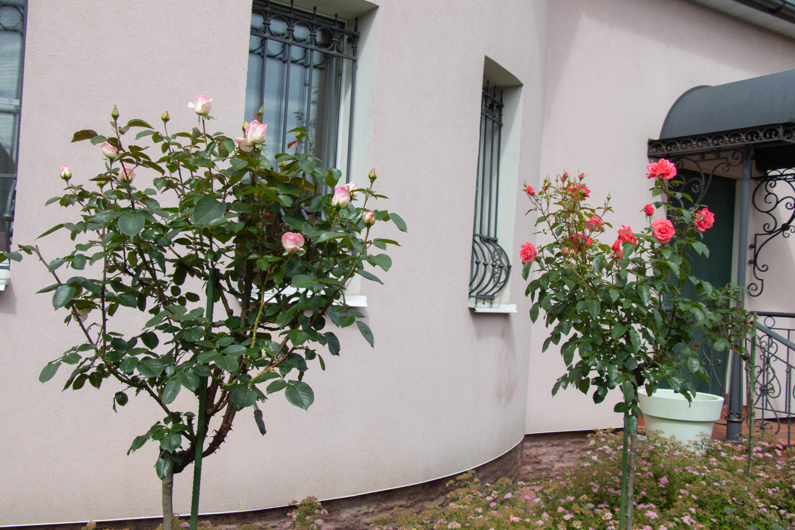 Французский садик в поселке Рыбаки Дмитровское шоссе