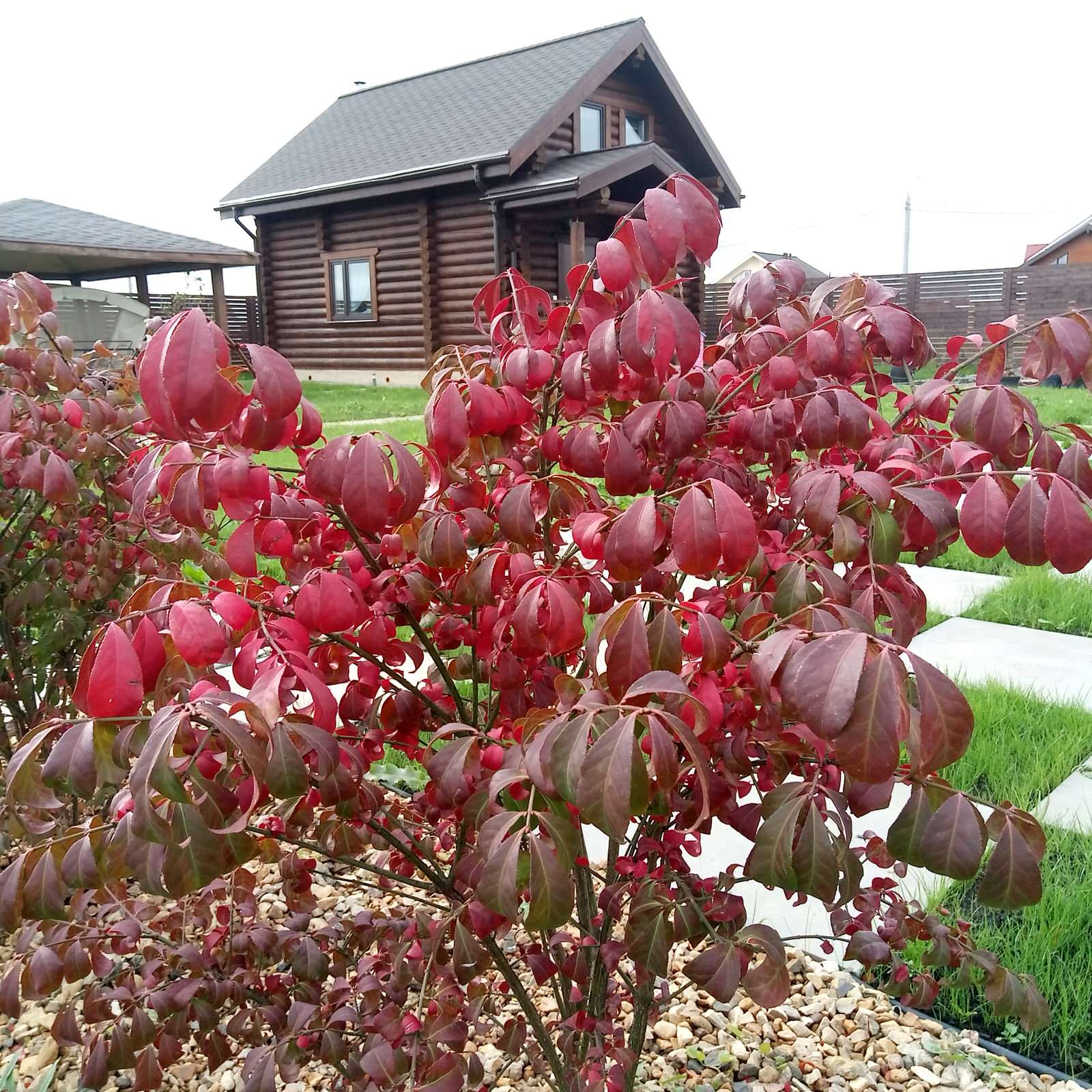 Зелёная комната