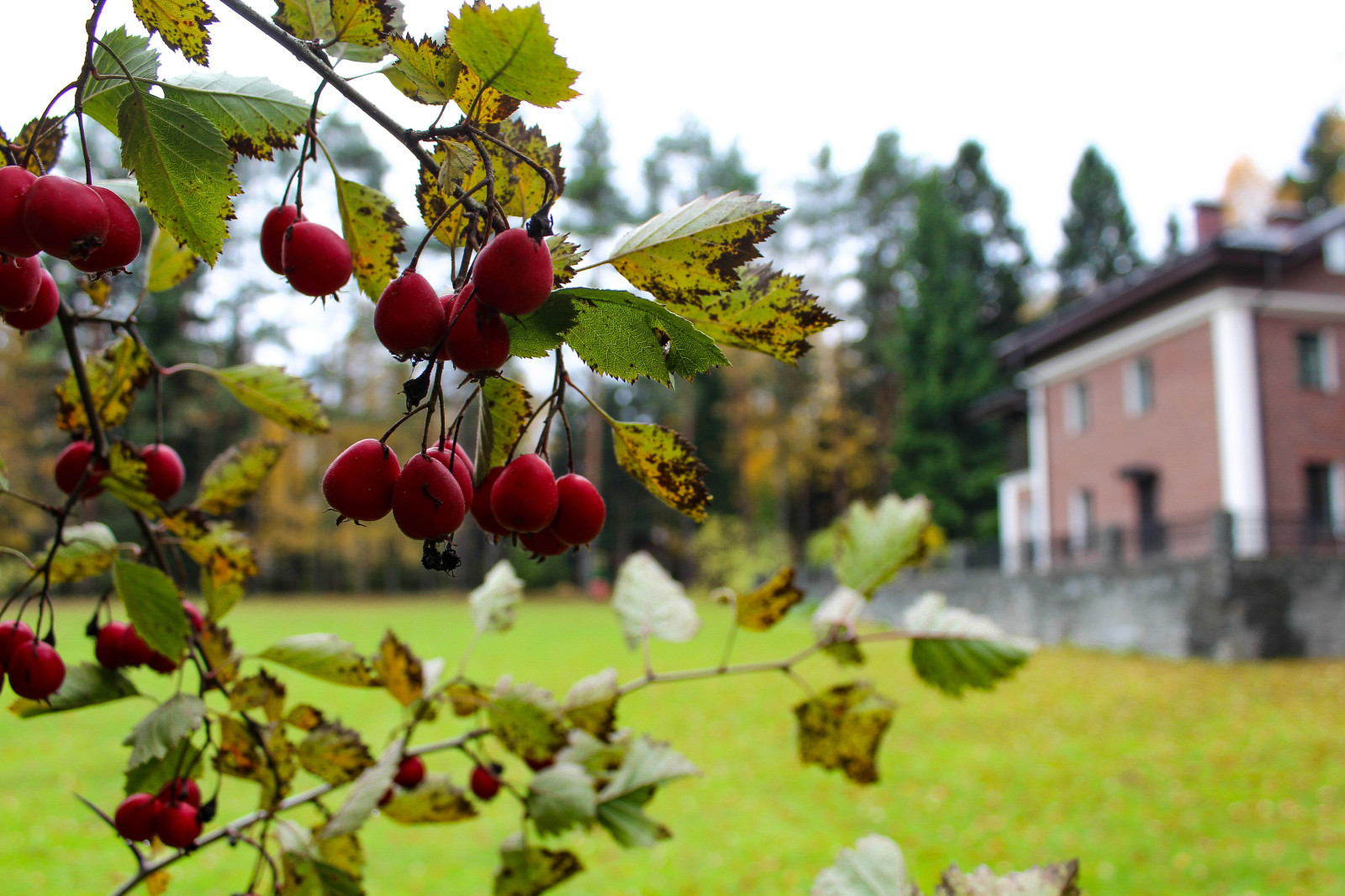 Генеральские дачи