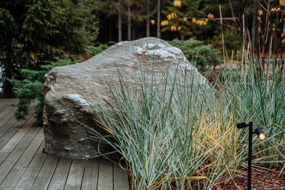 Северный сад