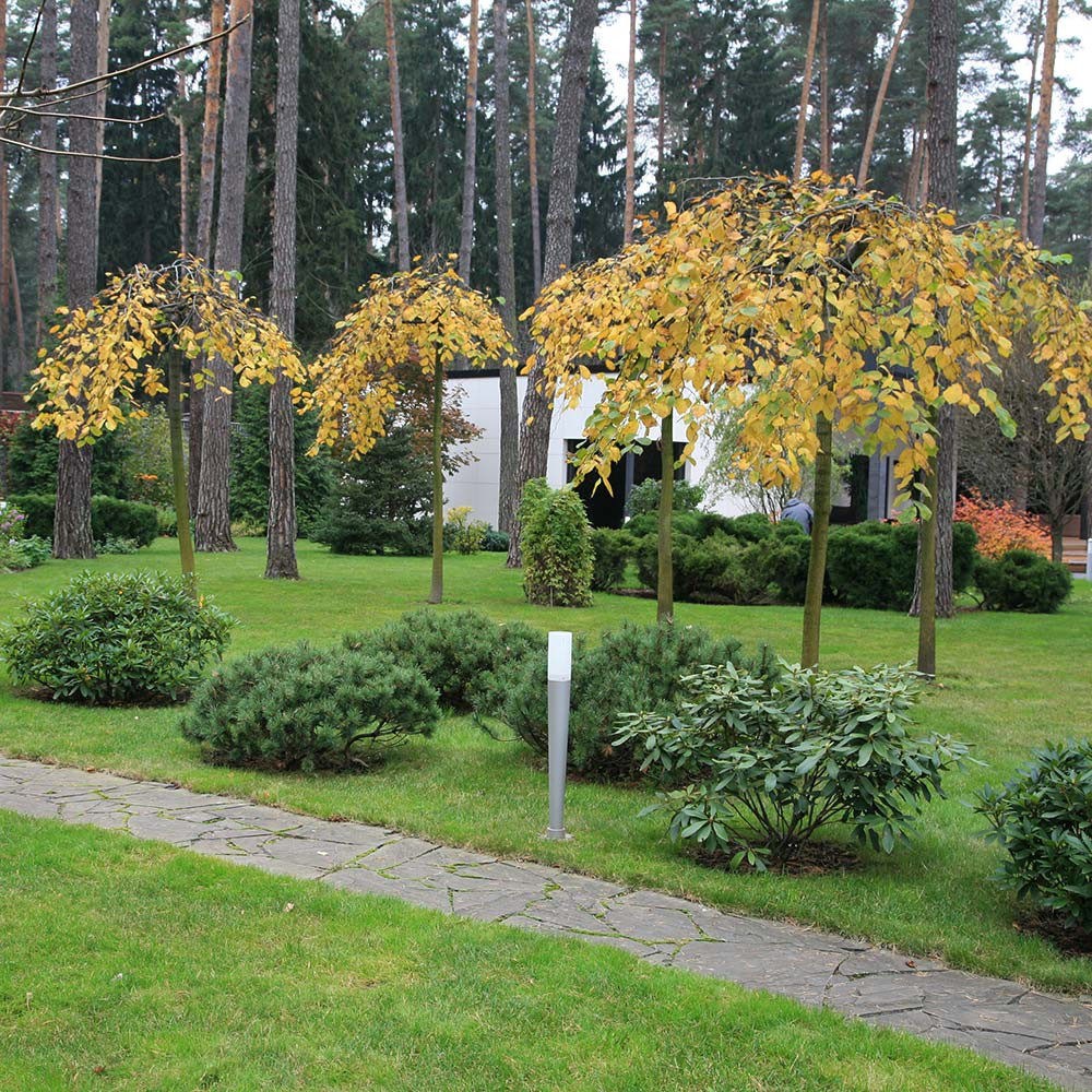 Ландшафтный сад в Горках 2