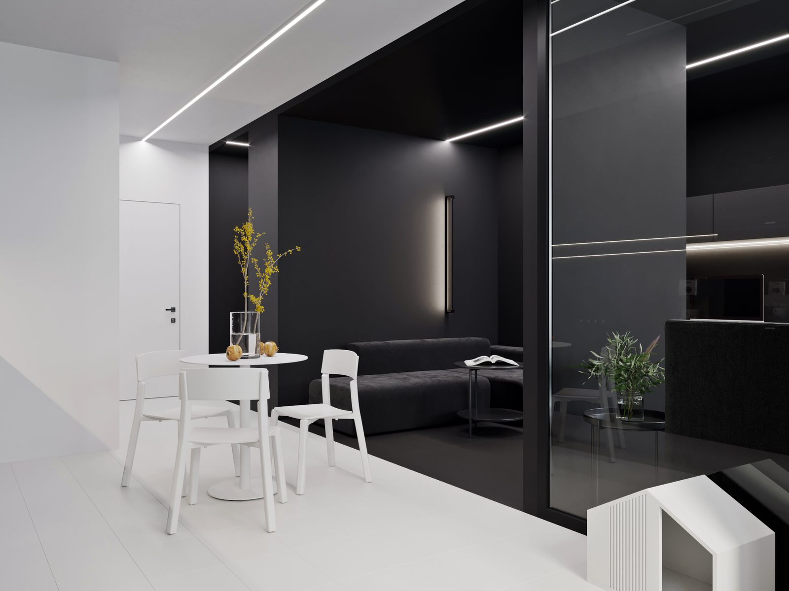 ЧЕРНОЕ И БЕЛОЕ